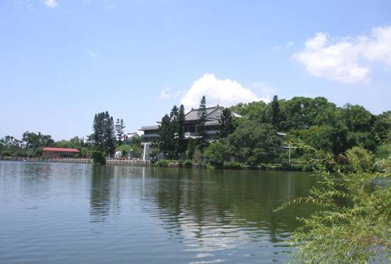 云林